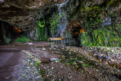 Scenic view of cave in forest