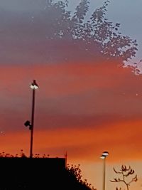 Low angle view of silhouette bird against sky during sunset