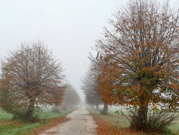 Road amidst trees against sky during autumn