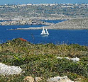 Scenic view of calm sea