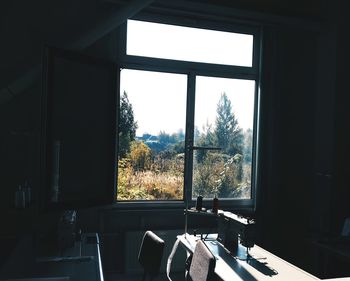 Plants seen through window