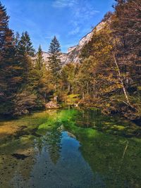 Scenic view of lake in forest against sky during autumn