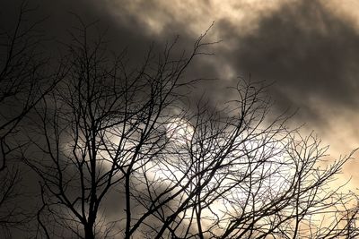 Low angle view of silhouette bare tree against sky during sunset