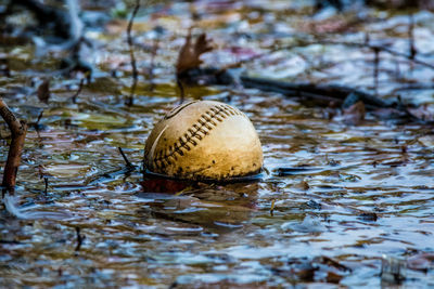 Close-up of ball in puddle