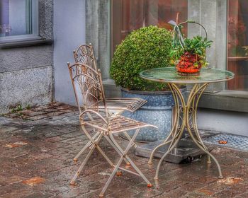 Potted plant on table against building