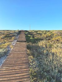 Footpath amidst plants on field against clear blue sky