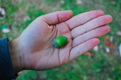 Close-up of hand holding fruit