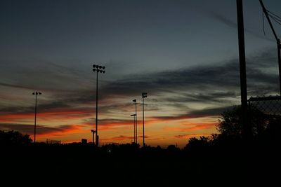 Silhouette of trees at sunset