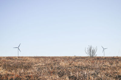 Wind turbines on field against clear sky