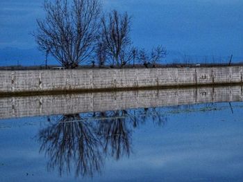 Reflection of bare trees in lake against blue sky