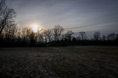 Bare trees on field against sky during sunset