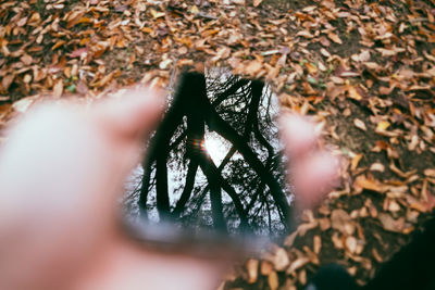 Close-up of human hand in forest during autumn