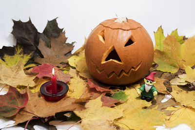 Close-up of pumpkin on table during autumn