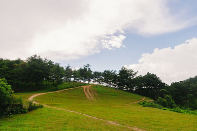 Scenic view of trees on field against sky