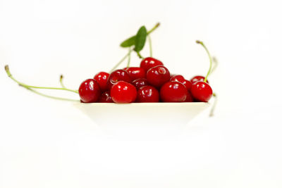 Close-up of cherries in plate against white background