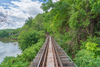 Railroad track amidst trees against sky