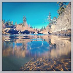 Reflection of trees in calm lake