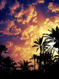 Silhouette of palm trees against cloudy sky