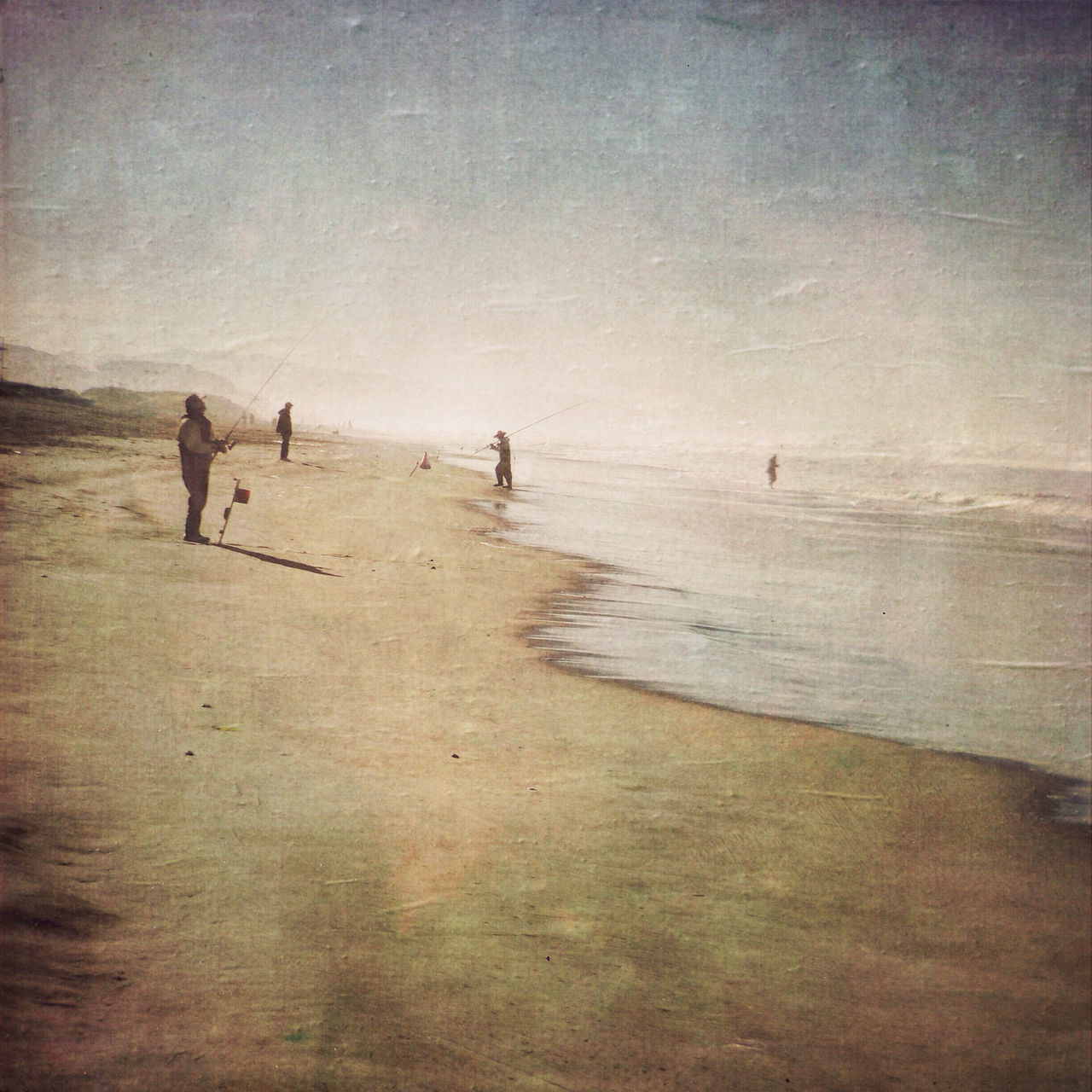 beach, sand, animal themes, sea, domestic animals, mammal, shore, water, sky, dog, nature, horizon over water, beauty in nature, scenics, tranquility, wave, tranquil scene, outdoors, day, walking