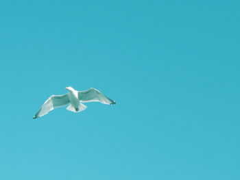 Low angle view of blue sky