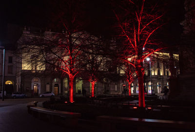 Illuminated trees by building in city at night