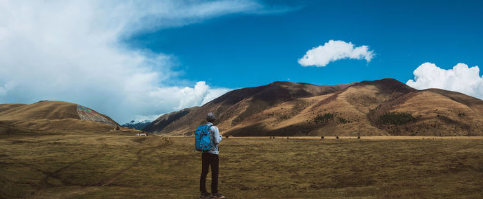 Panoramic view of man standing on landscape