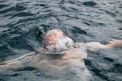 High angle view of senior man swimming in sea