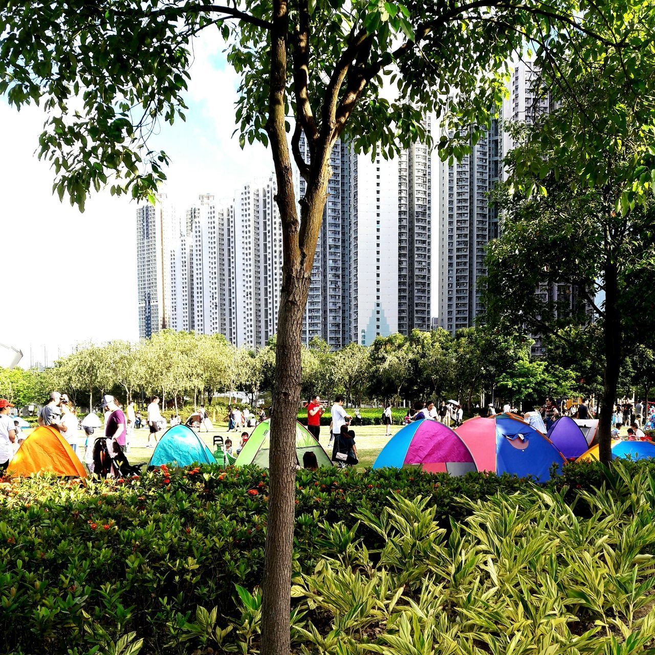 GROUP OF PEOPLE IN PARK AGAINST CITY