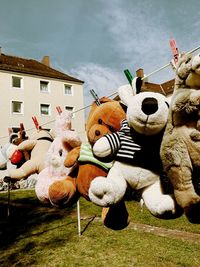 Close-up of stuffed toys hanging on clothesline