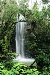 Scenic view of waterfall