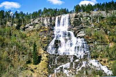 Scenic view of waterfall in forest