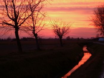 Silhouette of trees on landscape at sunset