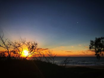 Silhouette trees on beach against sky during sunset