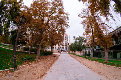 Street amidst trees in park during autumn