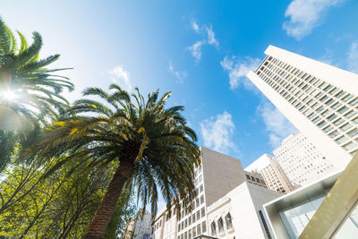 Low angle view of palm trees and modern buildings against sky