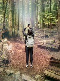 Rear view of woman photographing in forest