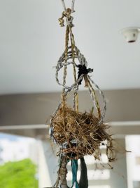 A bird is also an artitec because it builds its own nest  click on iphone 12pro max