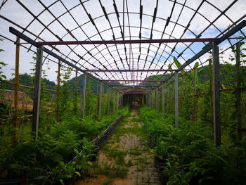 View of greenhouse