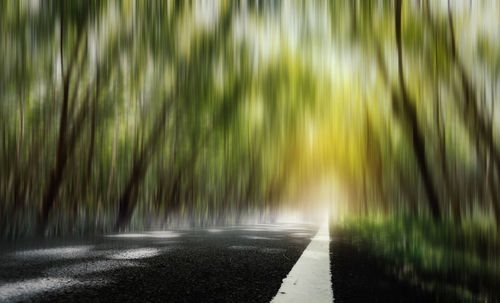 Scenic view of road amidst trees in forest