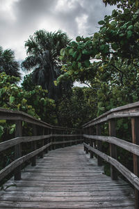 Footbridge amidst trees against sky