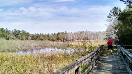 Full length rear view of man walking on boardwalk by field against cloudy sky