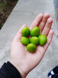 Cropped image of person holding green tomatoes