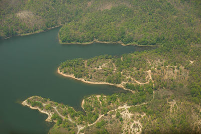 Scenic view of river amidst trees