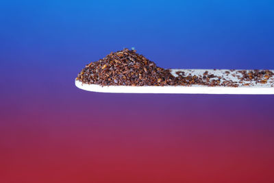 Close-up of cake on table against blue background