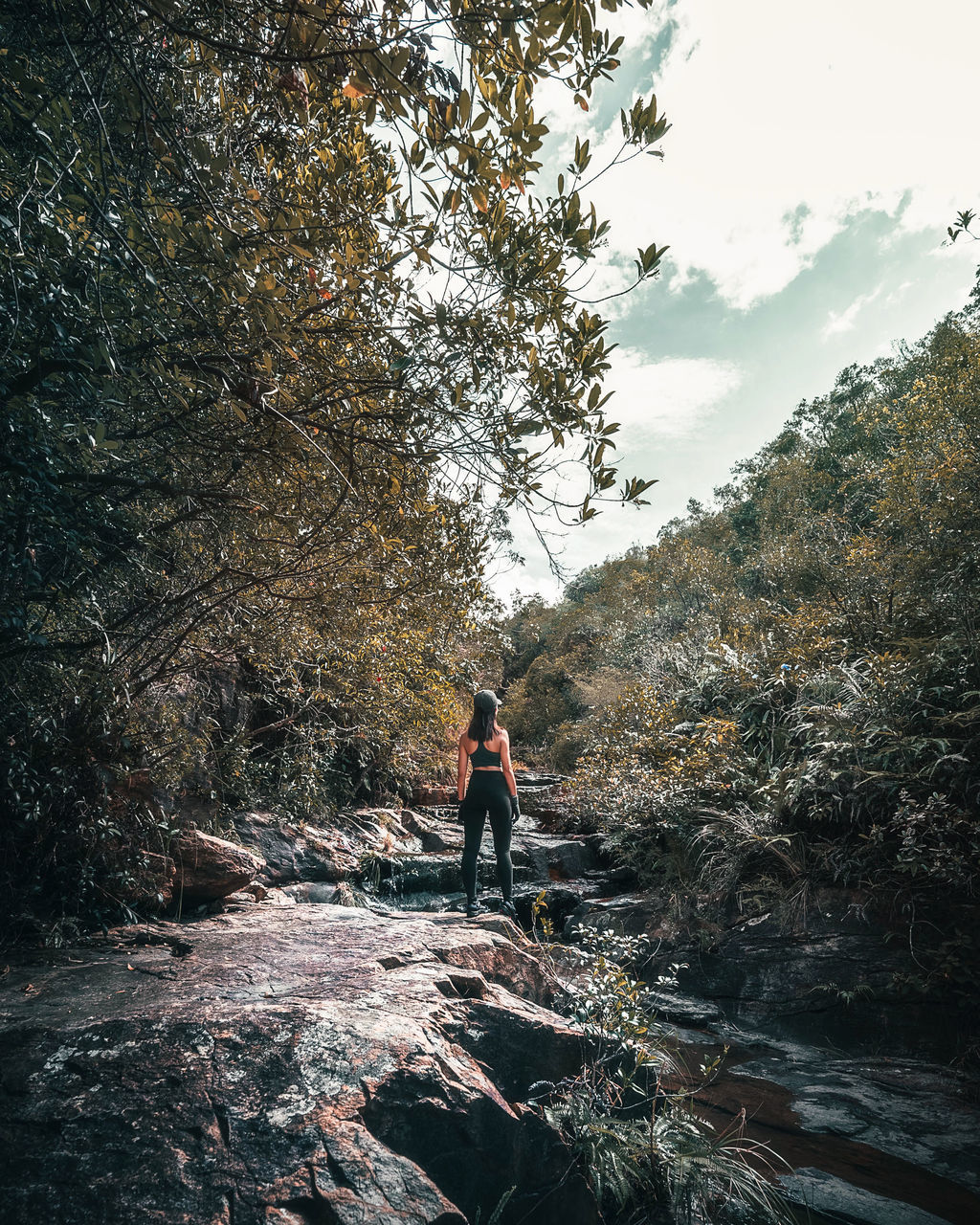 tree, nature, one person, plant, leisure activity, full length, beauty in nature, lifestyles, wilderness, land, forest, men, adventure, adult, day, hiking, scenics - nature, activity, sky, non-urban scene, walking, water, outdoors, sunlight, mountain, rock, holiday, vacation, trip, standing, tranquility, autumn, travel, person, environment, rear view, tranquil scene, sports, exploration, women, motion, reflection, backpack, landscape