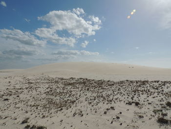 Scenic view of desert against sky