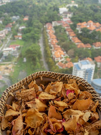 High angle view of mushrooms in basket