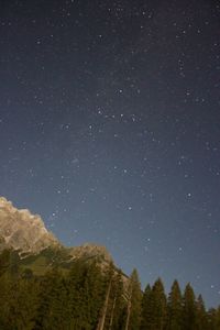 Low angle view of trees against sky at night