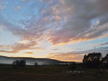 Scenic view of field against sky during sunset