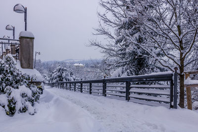 Snow covered field by trees against sky